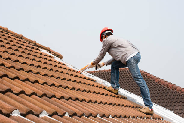 Best Asphalt Shingle Roofing  in Greenwood, AR